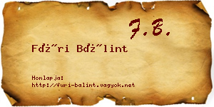 Füri Bálint névjegykártya
